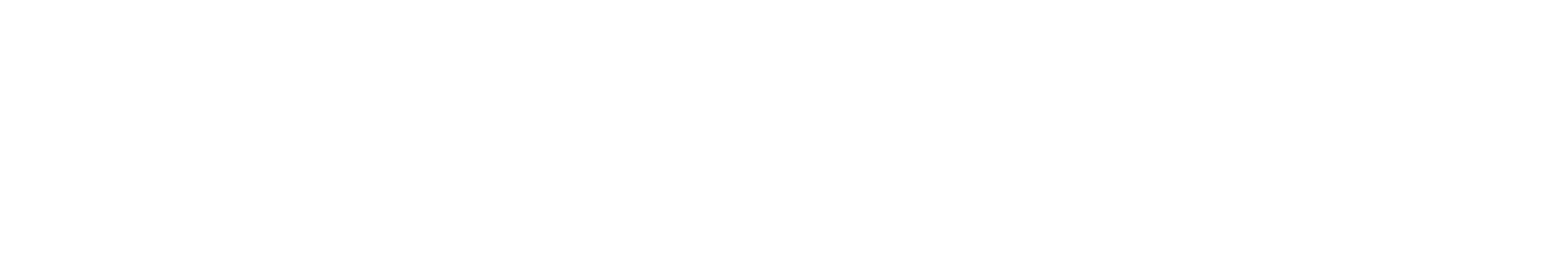 Wodan AI - Secure AI